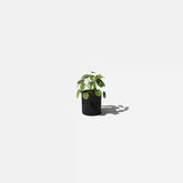 demi six planter