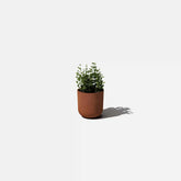 patina kona planter