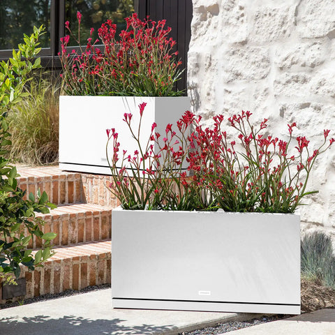 block long box planter