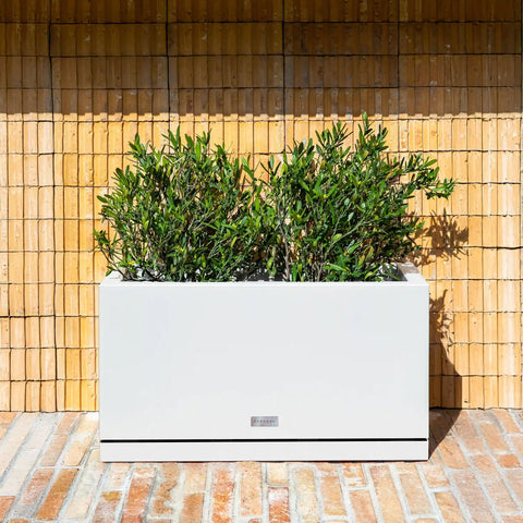 block long box planter